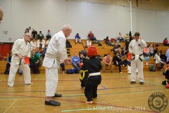 D7K_4965