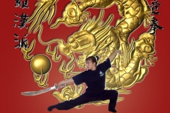 belleville_kung_fu
