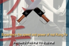 kung_fu