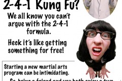 2-4-1 kung fu