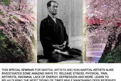 martial_minds