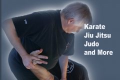 quintekarate1