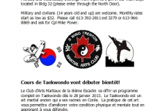 taekwondo
