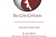 taichi_park3