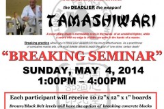 tamashi_wari_may4